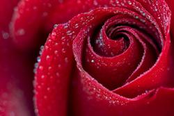 Dopo un tumore al seno: come ritrovare l'amore